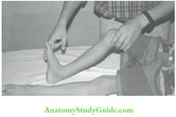 The Central Nervous System Pediatric Clinical Methods Notes - Anatomy Study Guide