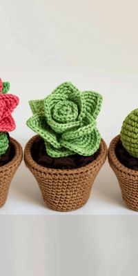 Discover the charm of crocheted succulents with this pattern collection. Create an everlasting garden with detailed instructions and stunning results. Perfect for all skill levels. Start your crochet garden today!