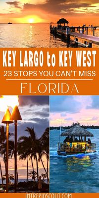 Discover the ultimate Florida Keys road trip from Key Largo to Key West! Explore 23 amazing stops, including turquoise beaches, state parks, quirky attractions, and breathtaking sunsets. A perfect adventure for any traveler!

#FloridaKeysRoadTrip #KeyLargoToKeyWest #ExploreFlorida #RoadTripUSA #TropicalVibes #FloridaTravel #KeyWestBound #BucketListAdventures #ScenicDrive #BeachHopping #IslandGetaway #TravelFloridaKeys #HiddenGems #AdventureAwaits #ParadiseFound