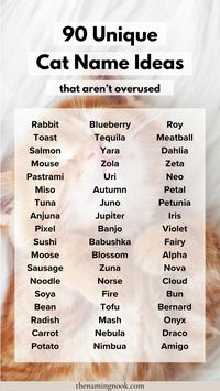 90 Cute & Unique Cat Names That Aren’t Overused. Click through for cool and unusual cat and kitten names. Boy cat names, girl cat names, cat name aesthetic