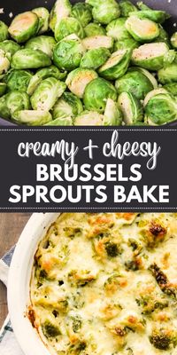 This Creamy Brussels Sprouts Bake is a delicious and easy side dish that's ready in less than 1 hour. It's creamy, cheesy and so good.