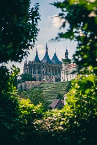 Things to Do in Kutna Hora, Czech Republic - Bobo and ChiChi