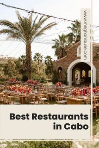 Check out the top 10 restaurants in Cabo! Delicious food & popular restaurants in Cabo.