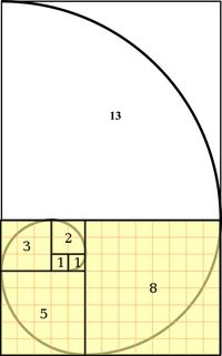 La regla que todos debemos saber, gracias Fibonacci