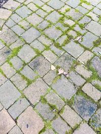 If you have a paver patio eventually you will need to clean it. In this post I share step by step instructions on how to clean and restore your patio to looking like new!