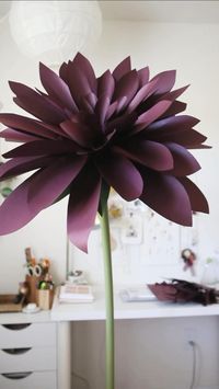 Paper flower backdrop DIY