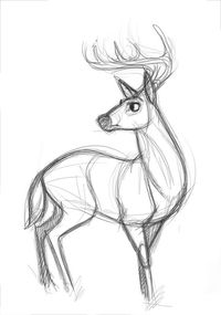 How I usually draw deer...