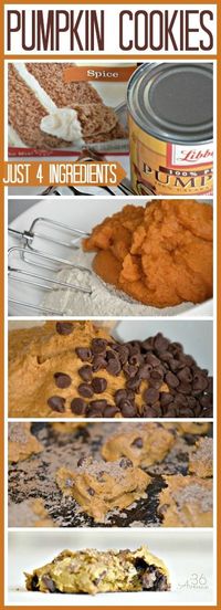 Super easy and delicious Pumpkin Cookies... Just FOUR ingredients! the36thavenue.com