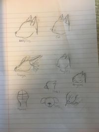 Head References in my Style  by Alpha Snowdust