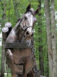 Bronze war memorial to a Marine horse whose heroism in battle earned her the Purple Heart with Gold Star. Reckless made 51 round trips from the ammunition supply point to firing sites in a single day, carrying 386 rounds of ammunition — more than 9,000 pounds — through open rice paddies and up steep mountains amid heavy enemy fire.