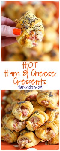 Hot Ham and Cheese Crescents recipe - ham, cheddar, swiss, cream cheese, dijon mustard, Worcestershire, brown sugar mixed together and baked in crescent rolls and topped with poppy seeds. I am totally addicted to these! I could not stop eating them! #PinkRelief #spons