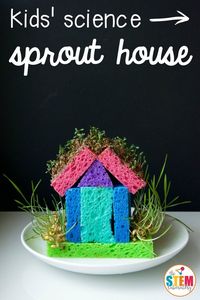 What an awesome spring science project for kids! Make a DIY sprout house. Great way to teach kids about growing plants and it's perfect for preschool, kindergarten, first grade or second grade.