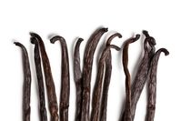 DIY Homemade Vanilla Extract Recipe – VanillaPura