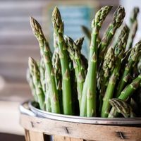 Millennium asparagus plants have rapidly risen in popularity over the past 25 years! Developed by Prof. David Wolyn, University of Guelph, Canada, the growing of millennium asparagus crowns has become a major player in the Ontario asparagus industry. Millennium asparagus plants are by far not limited to the Ontario province though, and its hardiness combined with its high yields and high quality asparagus are why it continues to grow in popularity!  Millennium asparagus crowns successfully grow in a wide range of soils including heavy soils. The plant is productive with high quality asparagus spears that are tender and have good flavor.  BUY 4 SETS GET YOUR 5TH SET FREE!! Offer applies to any variety of the plant as long as the amount is the same. If you would like a specific variety as yo