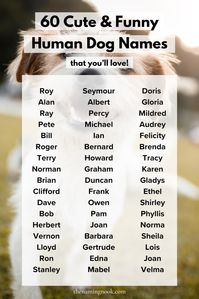 60 Cute & Ironic Human Dog Names We Can’t Get Enough of. Click through for cute and unique human dog and puppy names that no one else is using! Cute puppy names, cute names for dogs