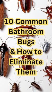 Discover the 10 common bathroom bugs and learn how to effectively eliminate them with simple, natural solutions. Keep your bathroom bug-free with these expert tips!