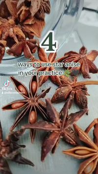 4 ways to use star anise in your craft!