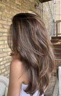 Long layers, highlights, brunette balayage, blowout, 90s haircut, hair cut, brunette, honey brown, layer hair cut, hair cut inspo, summer hair, brunette hair, layers, hair inspo, balayage