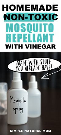 Simple Homemade Mosquito Repellent with Vinegar – Simple Natural Mom