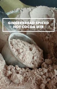 Gingerbread Spiced Hot Cocoa Mix recipe by Wonky Wonderful