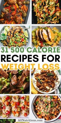 Our 500 calorie recipes are perfect for maintaining a calorie deficit. These low calorie recipes are ideal for anyone focused on weight loss meals while staying mindful of calorie counting. Enjoy delicious low calorie meals that support your goals.