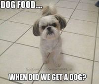 Tjats what my dog says. And if you call it dog food....She aint eatting it!