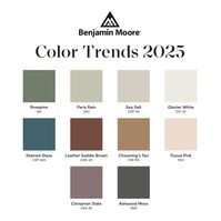 Benjamin Moore's 2025 Color of the Year Is Here