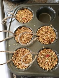 Homemade bird suet using peanut butter and apples 🍎🕊 🥜