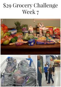 29 Dollar Grocery Budget Week 7 - Real: The Kitchen and Beyond