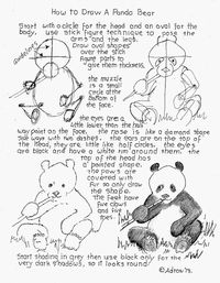 How to Draw a Panda Bear, Lesson And Worksheet