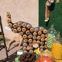 Jungle Safari Birthday Party Ideas | Photo 15 of 34 | Catch My Party