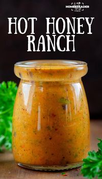 Hot Honey Ranch is a creamy blend of sour cream, honey, garlic chili oil, ranch seasoning, fresh dill, and red pepper flakes for a sweet, spicy, and tangy sauce. It’s a deliciously versatile sauce that can be used as a dip, dressing, or for any foods that need a burst of added flavor!