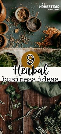 Turn your love for herbs into a thriving herbal business to make money from your homestead! 🌿 Explore innovative ways to monetize your herbal passion, from crafting herbal products to hosting workshops. Perfect for homesteaders, herbalists, and entrepreneurs looking for inspiration. Learn how to start and grow a profitable venture in the herbal market. #HerbBusiness #HerbalProducts #HomesteadBusiness #NaturalHealthMarket #ProfitFromPassion