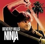 Beverly Hills Ninja (1997)