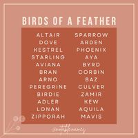 A little birdy told me that you love bird names. And then another little birdy told me these names to share with you. And now I have a bunch of birds in my home...and they told me they wouldn't leave until you all told me your fave bird names. True story. #names #babynames #girlnames #boynames #babyboynames #babynameideas #babygirlnames #babynamesuggestions #genderneutralnames