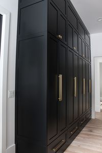 The Forest Modern: Our Chic Black Butler’s Pantry