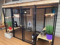 30+ DIY Catio Ideas That Are Totally Pawsome - PetHelpful