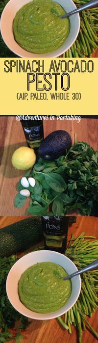 Spinach Avocado Pesto (takes 5 mintes) - "There's something about a sauce or dressing that just kicks a recipe up a notch. I mean think about it...there's a whole aisle in the grocery store dedicated to the stuff. Here are some of the ways you'll want to use this: (1) as a pesto with zoodles (2) as a topping for grilled fish (3) as a 'mayo replacement' in tuna or chicken salads (4) as a dip for crudites (5) as a base sauce for a 'pizza' (6) as a burger topping..... "                         ...