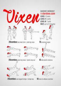 Vixen Workout Lower body. High burn streamline. 3/5. A Vixen knows she's only as good as her ability to control her body and her destiny. The Vixen workout gives you just what you need in order to be who you want to really be.  Extra Credit: 30 seconds rest between sets.