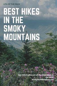 Learn about all of the very best hikes to take in Great Smoky Mountains National Park.