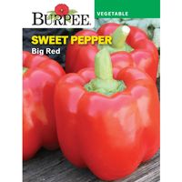 Not available Buy Burpee Big Red Sweet Pepper Vegetable Seed, 1-Pack at Walmart.com