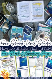 How Do Sharks Float STEM Activity Free Shark Unit Study & Notebooking Pages. I have a shark unit study, an easy shark STEM activity, and free shark notebooking pages. Also, grab more ideas on my best homeschool unit studies, Oceans Unit Study and Lapbook, and Coral Reef pages. A shark unit study is a fun way to learn about these creatures of the deep even if you don’t live near the ocean, I would prefer not to study them up close anyway.