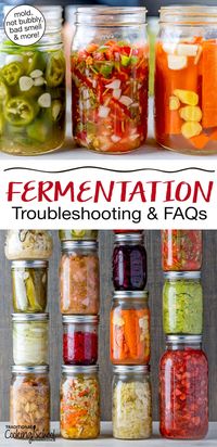 This ultimate guide to fermentation troubleshooting will answer all of your fermenting FAQs… including why your ferment isn't bubbling, what to do if your ferment is mushy or moldy, how to tell if your ferment is done, safety tips, and more. #fermentation #fermenting #troubleshooting #tips