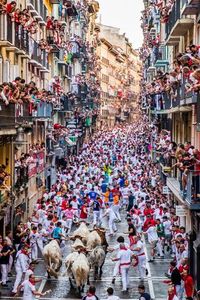 Picture of the Running of the Bulls in Pamplona, Spain