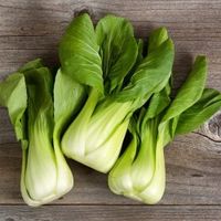 Bok Choy, Pak Choi Seeds