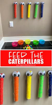 Feed the Caterpillars: Pom Pom Drop - HAPPY TODDLER PLAYTIME