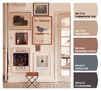 Paint colors from ColorSnap by Sherwin-Williams