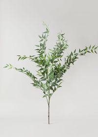 PRICES MAY VARY. REALISTIC ARTIFICIAL FLOWER: Elevate your space with nature-inspired artificial greenery like this Italian Ruscus leaf bush. ELEGANT FEATURES: It's easy to style it in a tall vase or clip it apart to add the gorgeous grey-green fake leaves to floral arrangements. It has a wired stems, easy to bend or cut with wire cutters. SIZE: 46" Tall. Leaves, 1.75-2.75" Long x .75-1" Wide. Main Stem, 7" Tall. MATERIALS: 50% Polyester, 35% Plastic, 15% Wire. AFLORAL: Looking for the best sele