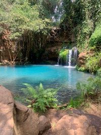 #waterfall #forest #natural #blue #explore #pool #kenya #africa #travel #woods #safari #animals