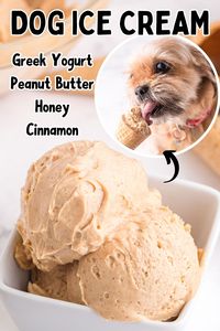 Our Homemade Peanut Butter Dog Ice Cream recipe has been shared thousands of times, and our furry friends have been thanking their families with licks and wags! With its smooth peanut butter flavor, this doggie ice cream is a delight for dogs and incredibly easy to make. #icecream #dogfood #puppy #dog #dogtreat